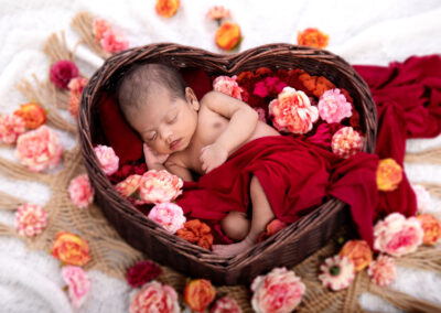 Newborn Photograph - Portfolio - Flowers Heart Basket
